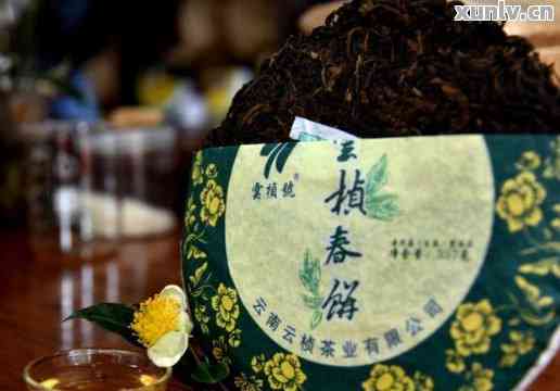 云南特色普洱茶官方旗舰店：泰号茶叶精选之生茶与熟茶佳品