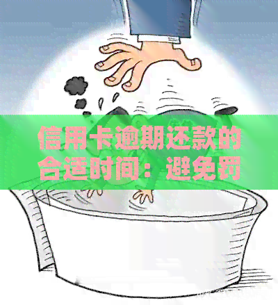 如何及时还清信用卡逾期款项，避免罚息和信用损失？