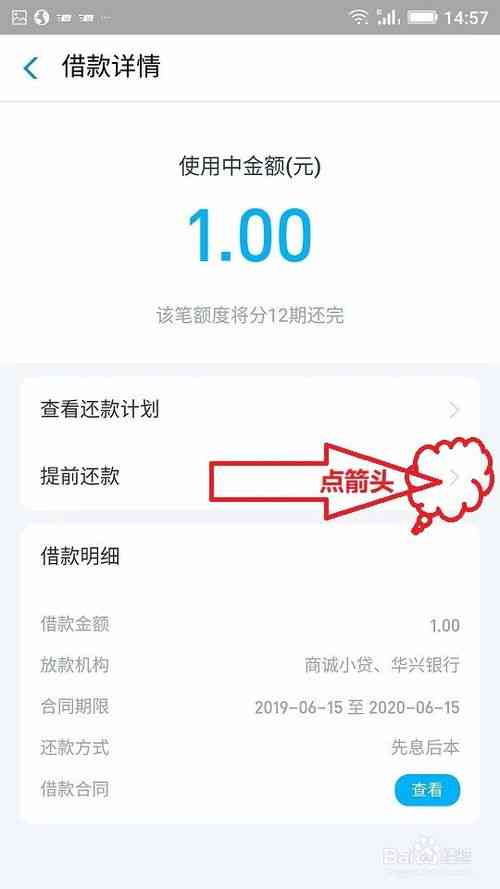 支付宝借呗还款操作指南：如何在一年后按时还款？