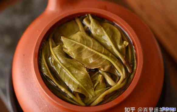 普洱茶春茶和普洱茶有什么区别？普洱茶春茶属于哪种茶？