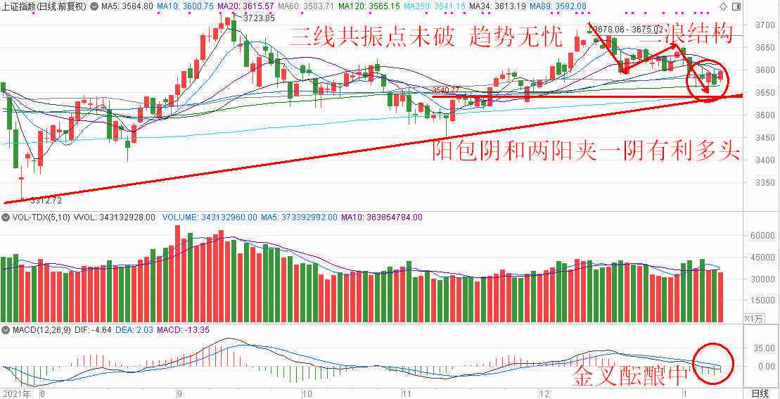 新疆且末翠青的价值与市场行情分析，了解其收藏与投资潜力