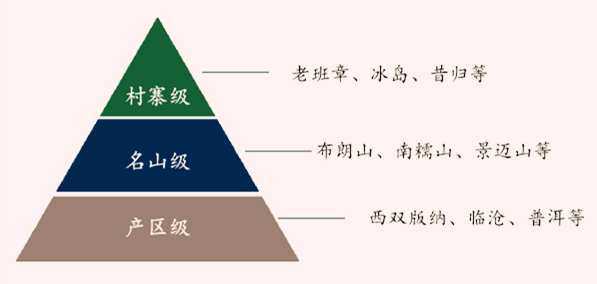 普洱茶的全解析：从产地、制作工艺到品鉴方法，2018年最新指南！