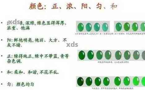 判断翡翠的直接办法：权威指南与实用技巧