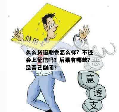 网贷公司倒闭，逾期上，怎么办？