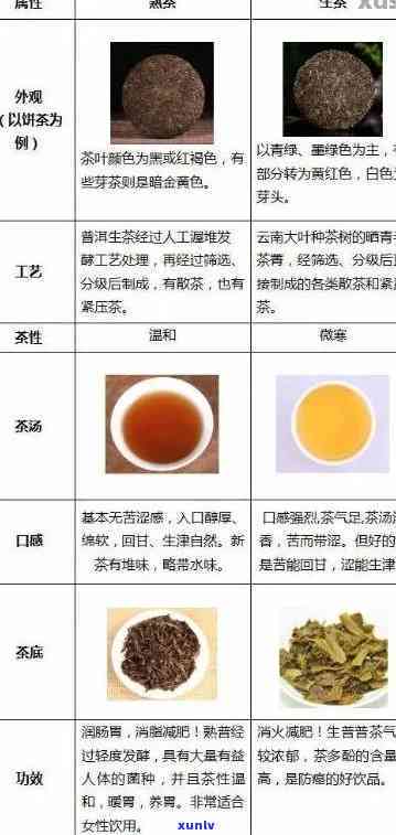 二十年熟普洱茶的成分与功效：能否饮用？