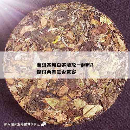 白茶和普洱茶可以一起存放吗？多久不能喝了？