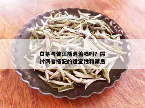 白茶、普洱茶可以混合饮用吗？如何搭配以获得效果？