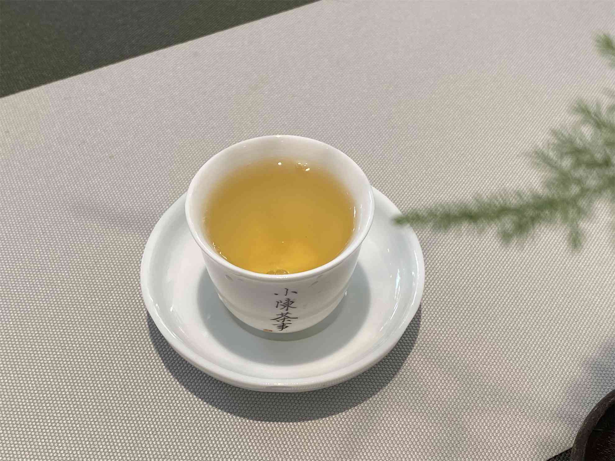 探索茶叶的世界：白茶、普洱茶与红茶，哪种口感更独特？