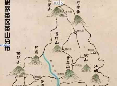 文山县普洱茶在哪个乡有茶叶基地