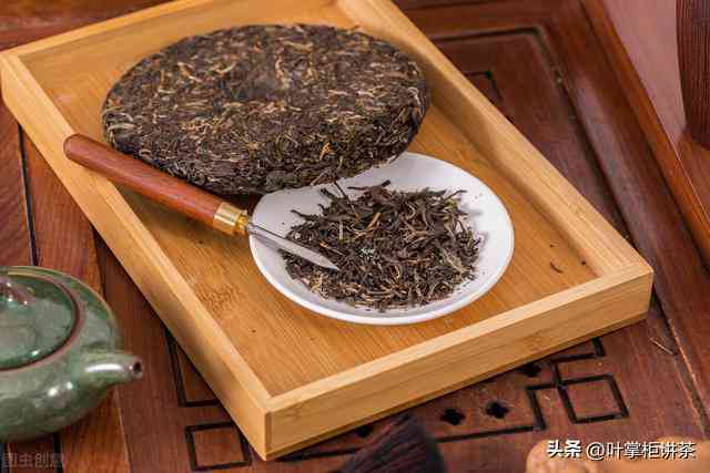 如何别普洱茶好不好：掌握这五个步骤，轻松辨别普洱茶的好坏