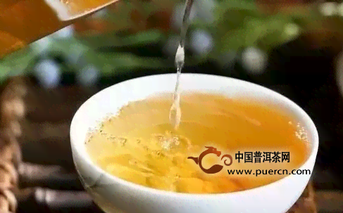 10大普洱茶性价比