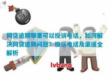 全面解决用户疑问：洛阳网贷逾期举报电话及相关指南