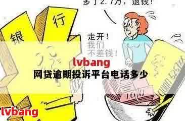 全面解决用户疑问：洛阳网贷逾期举报电话及相关指南