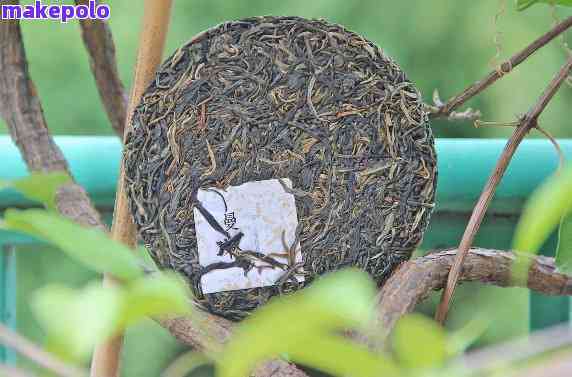 从零开始打造普洱茶：所需资料与完整指南