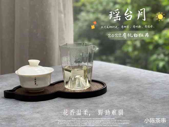 春天喝白茶好还是红茶好？