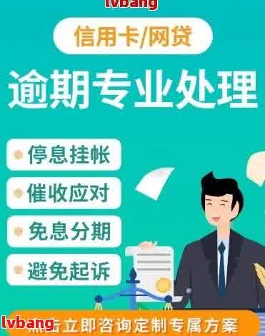 成都专业公司助力解决网贷逾期问题，为您提供全面解决方案