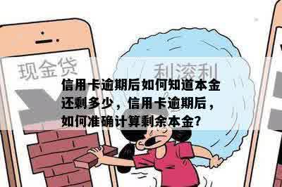 信用卡逾期还款查询指南：如何了解本息剩余金额及解决逾期问题