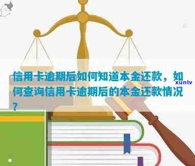 信用卡逾期还款查询指南：如何了解本息剩余金额及解决逾期问题