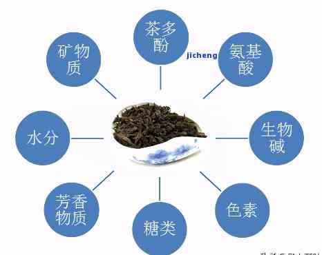 普洱茶包含哪些成分组成