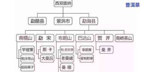 全面了解六大茶山普洱茶的价格、品质与选购指南