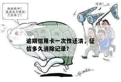 逾期还清后多久信用记录更新：一次还款还是几个月？