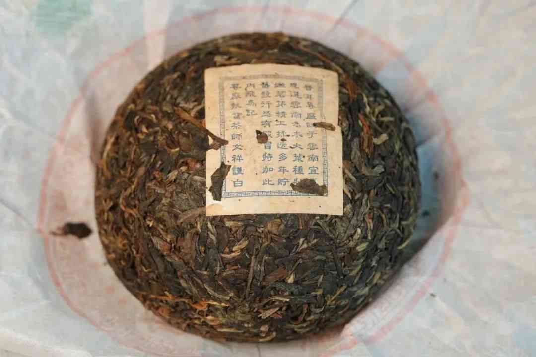 云南大叶种茶是不是普洱茶的一种