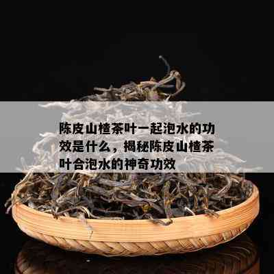 陈皮与普洱茶一起泡水的功效与作用：协同药效、调节身体、注意禁忌