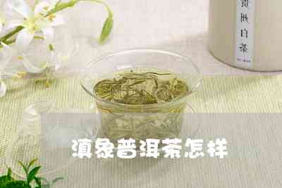 云南滇秀普洱茶茶厂勐获：2011年云南滇秀普洱茶业价格与现状