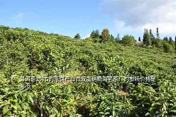 阿里批发勐海茶厂精选普洱茶，云南西双版纳茶叶货源价格实