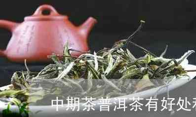 中津普洱茶的功效与作用