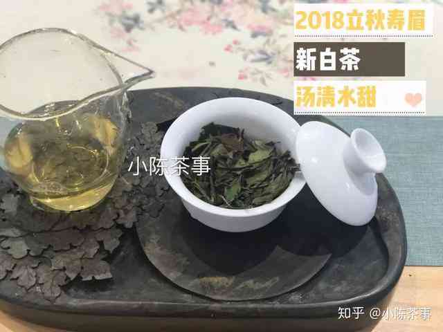 佛手泡茶配饮全解析：佛手如何与各类饮品完美融合