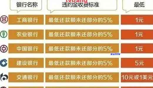 农业银行信用卡逾期4天：信用评分、还款流程及可能影响详解