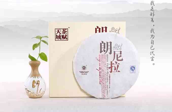 普洱茶专业定制和私人定制的区别