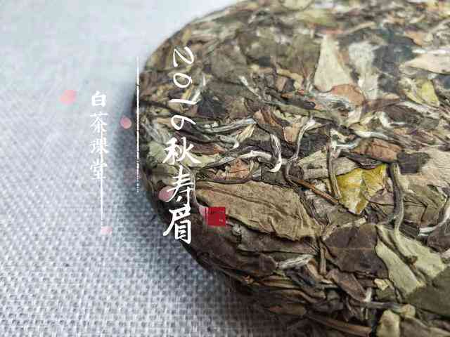 普洱茶：饼茶与散茶的优劣比较及选择建议