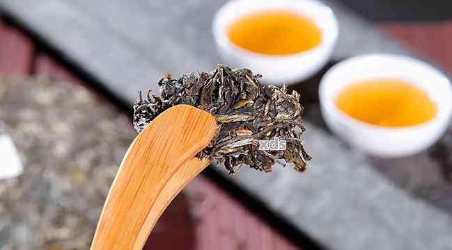 茶经中为什么没有普洱茶的意思呢英语：探索中国传统茶文化中的缺失