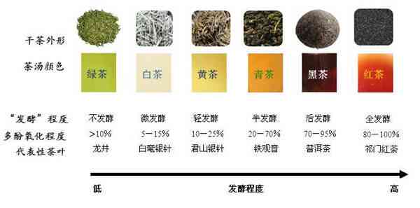 普洱茶不发酵与后发酵的区别及其发酵与不发酵的主要差异