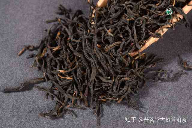 野生古树红茶的独特口感及其与普洱茶的异同分析