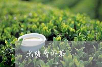 寻找青岛市的绿茶、普洱茶和单丛茶叶专卖店：详细地址及营业时间一览