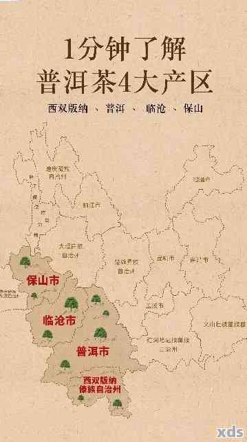 临沧茶区普洱茶香气如何