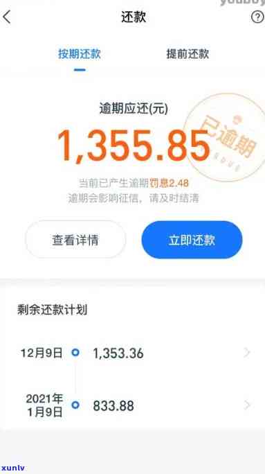 为什么我无法偿还我的借呗贷款？解决方案和可能的原因