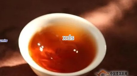 普洱茶收藏：生茶与熟茶的品质对比分析