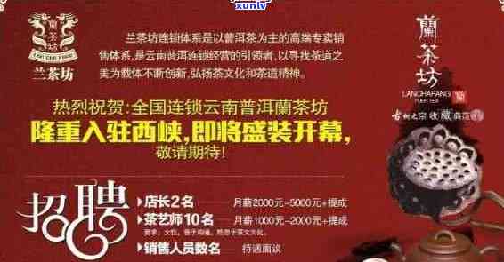 波知名普洱茶招商公司详细地址及联系方式，一站式了解招商信息