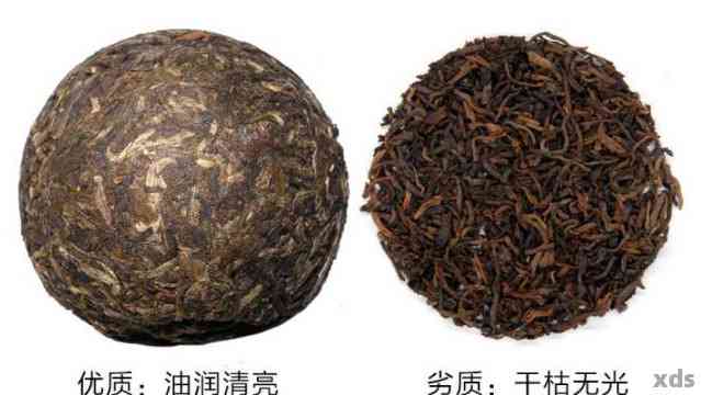 寻找优质老普洱茶：比较与推荐