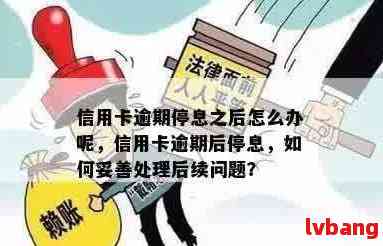 招行信用卡逾期导致停用，如何有效恢复和预防逾期问题