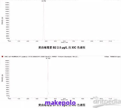 普洱茶中黄曲霉菌素的风险分析：科研、健影响与预防策略