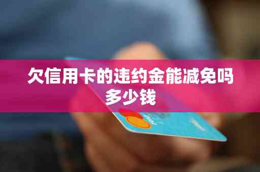 信用卡逾期违约金减免方案全面解析：如何降低还款压力并避免额外费用