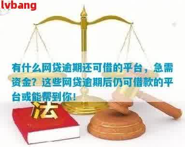 网贷逾期后，是否可以继续在其他平台借款？