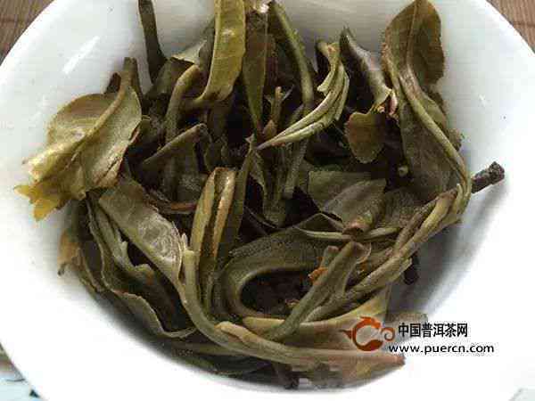 新益号普洱茶：揭秘市场中独具匠心的茶叶排名