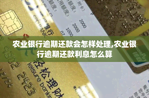 农业银行信用卡逾期一次的计算方法及利息详细解析