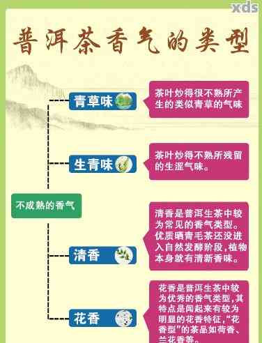 普洱茶香味差异的原因解析：品种、工艺、保存方式等方面的影响